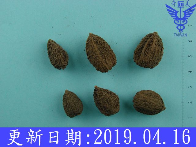 金門美兆診所'春砂仁]]氫分子ㄧ血管排毒食物 品 名 砂